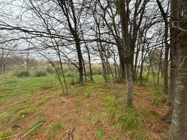 place photo 63