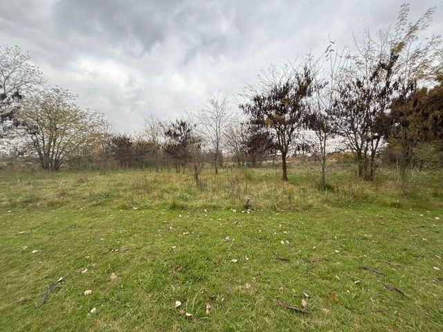 place photo 42
