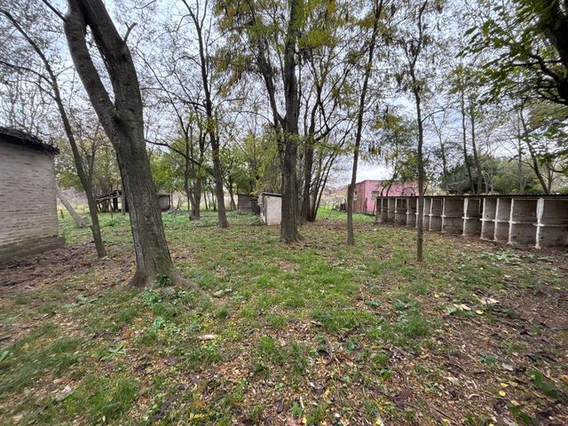 place photo 52
