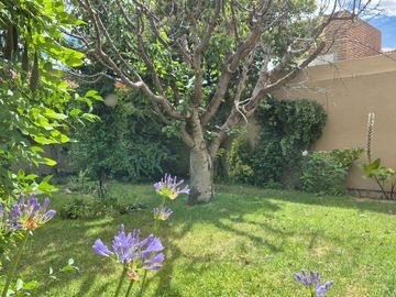 place photo 37