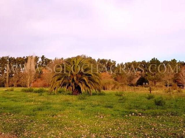 place photo 3