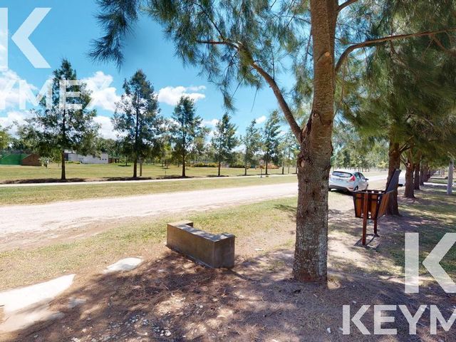 place photo 37