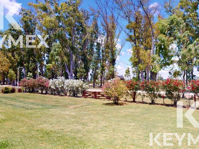 place photo 38
