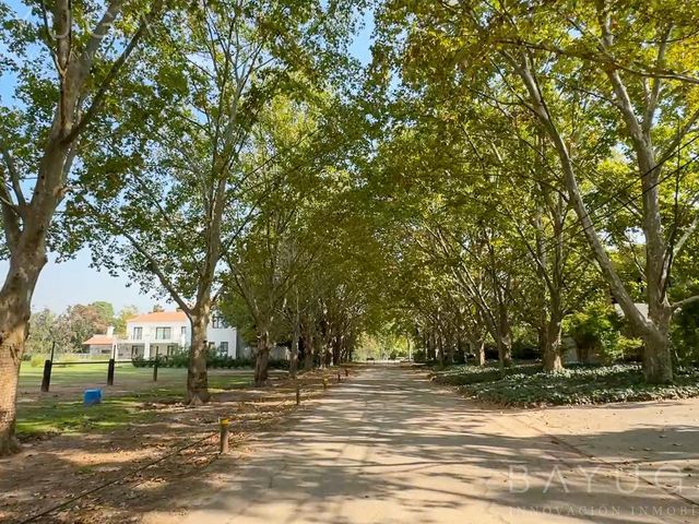 place photo 27