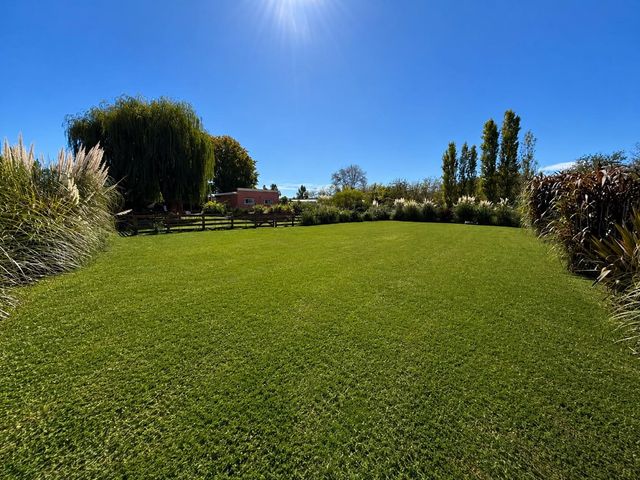 place photo 32