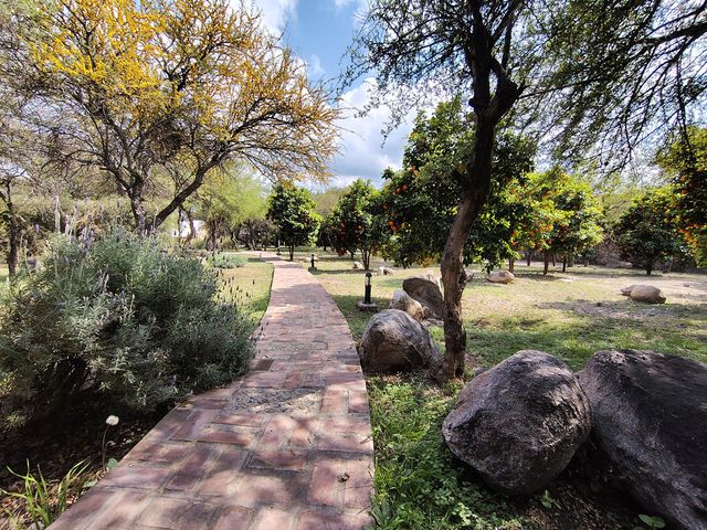 place photo 43