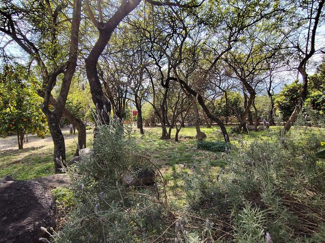 place photo 42