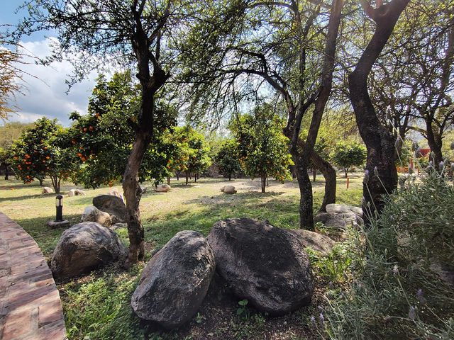 place photo 44