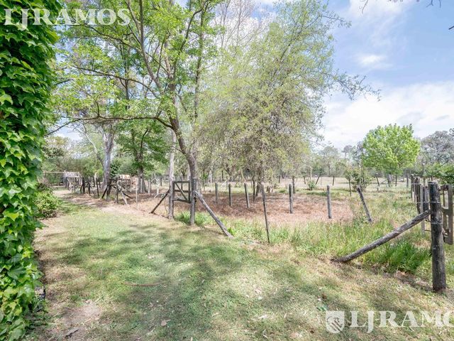 place photo 47