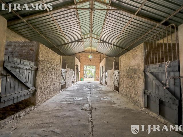 place photo 45