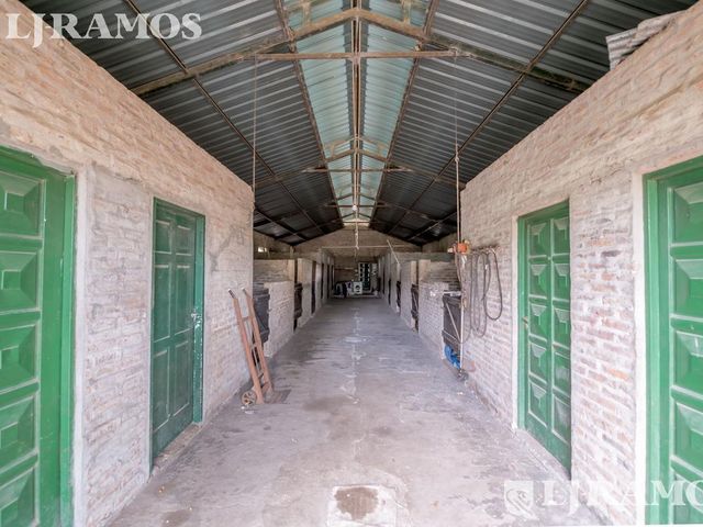 place photo 46