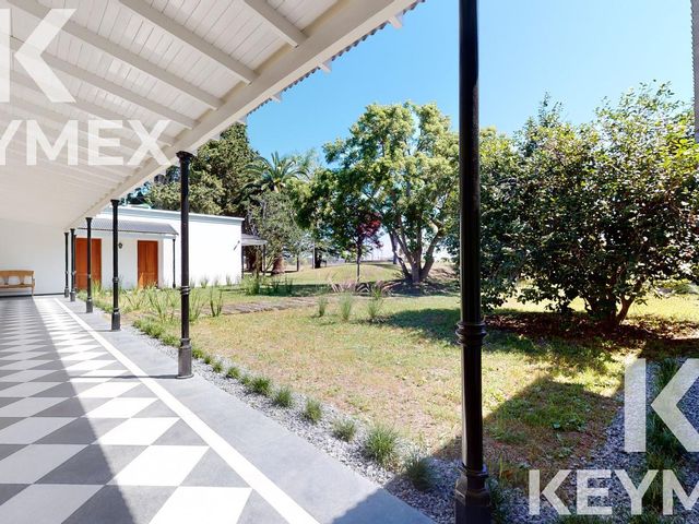 place photo 39