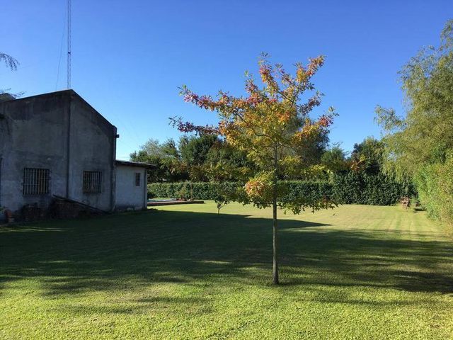 place photo 11