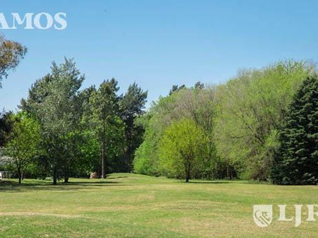 place photo 47