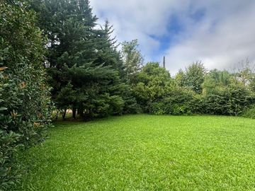place photo 45