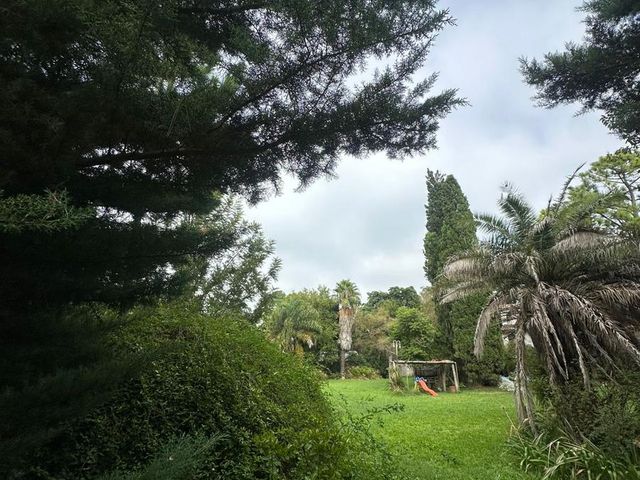 place photo 48