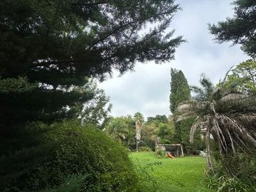 place photo 48
