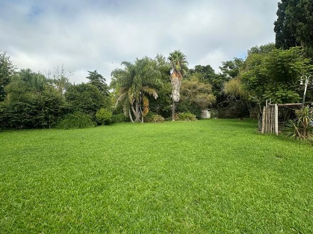 place photo 56