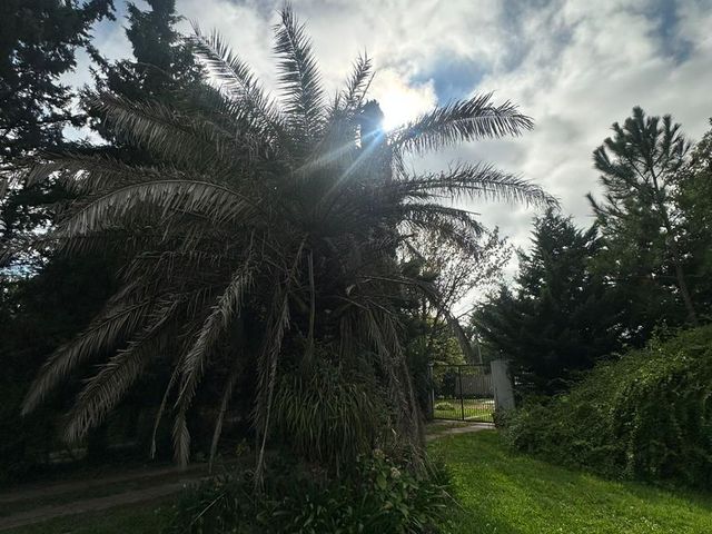 place photo 41