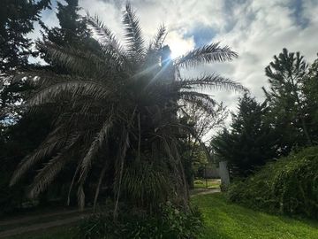 place photo 41