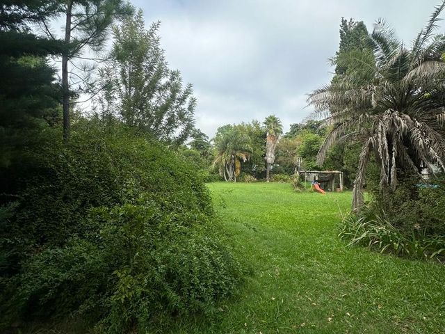 place photo 40