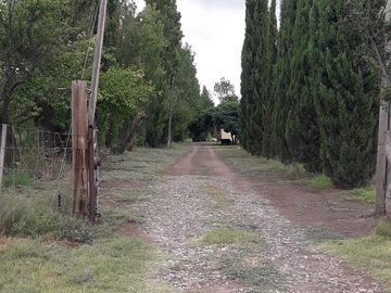 place photo 36