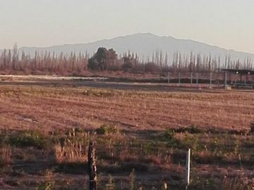place photo 32
