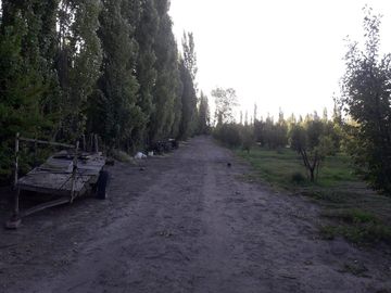 place photo 25