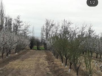 place photo 33