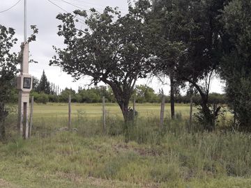 place photo 26