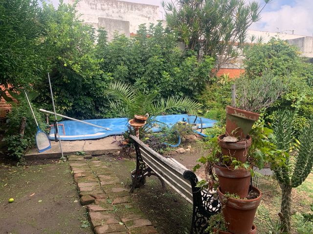 place photo 34