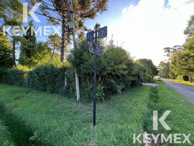 place photo 44