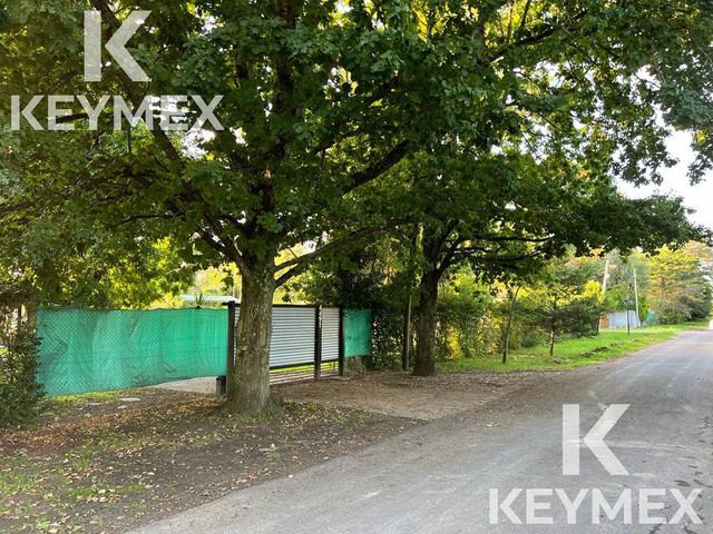 place photo 35
