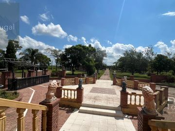 place photo 12
