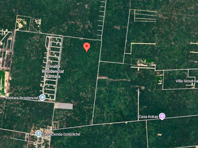 place photo 2