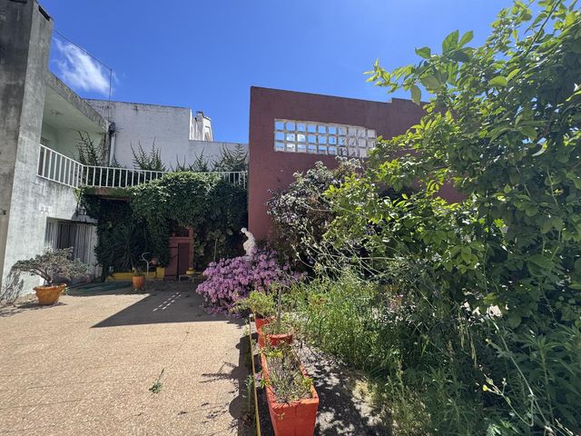 place photo 27
