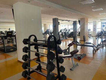 place photo 34