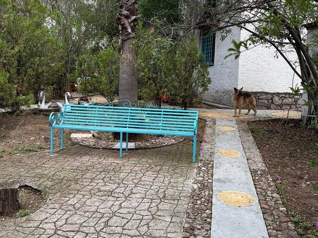 place photo 26