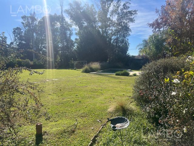 place photo 39