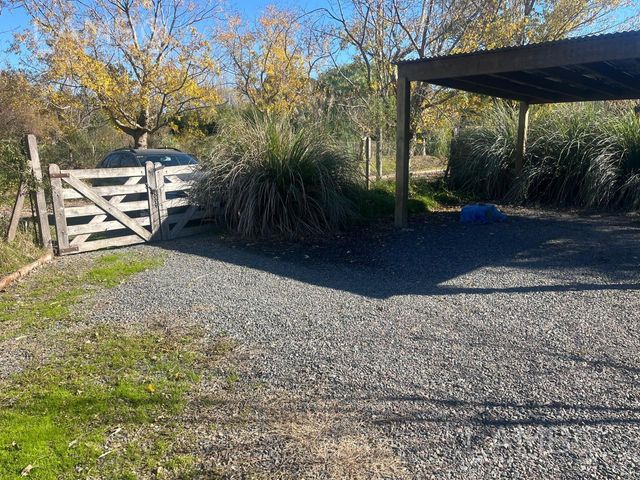 place photo 37