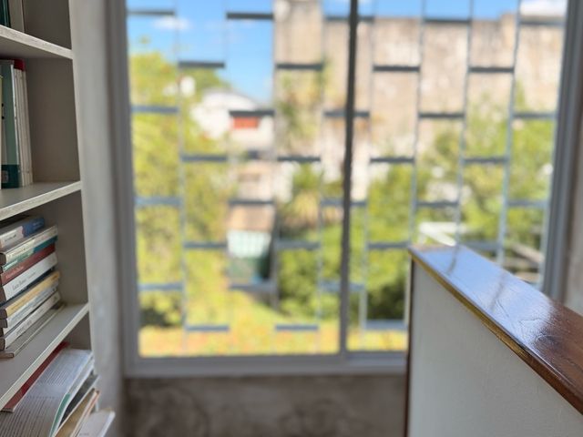 place photo 47
