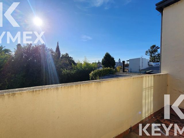 place photo 38