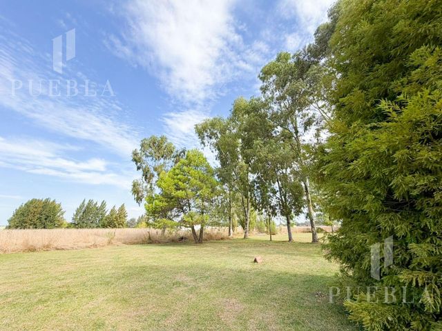 place photo 47