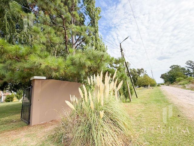 place photo 60