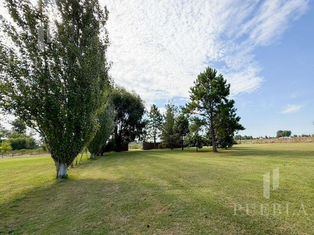 place photo 44
