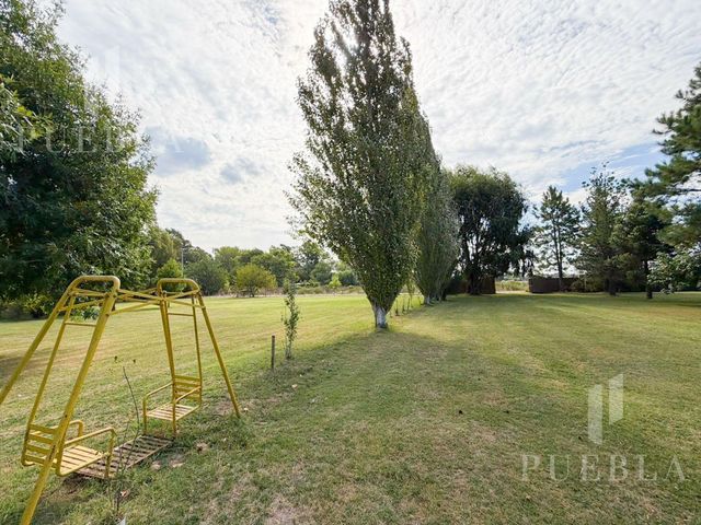 place photo 43