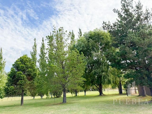 place photo 48