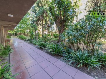place photo 22