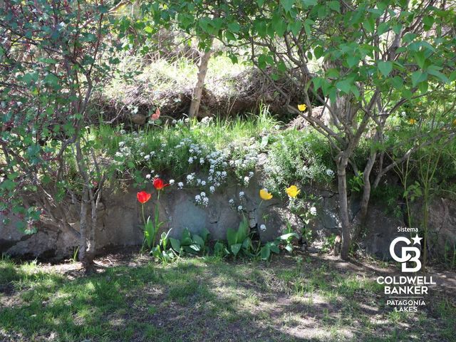 place photo 39