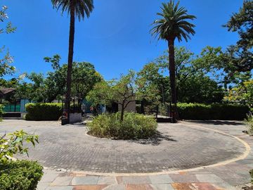 place photo 58